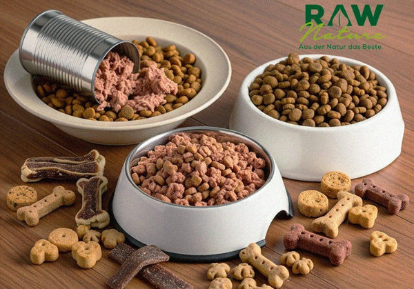 Wie führt man neue Fleischsorten richtig in die Ernährung eines Hundes ein?