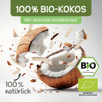 RAW Nature Hundesnack Bio Kokos-Sticks