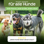 RAW Nature Hundesnack Bio Kokos-Sticks