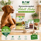 Kennenlernpaket Adult Huhn - Trockenfutter, Nassfutter und Hundeleckerli + GRATIS Spielzeug