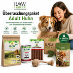 Kennenlernpaket Adult Huhn - Trockenfutter, Nassfutter und Hundeleckerli + GRATIS Spielzeug