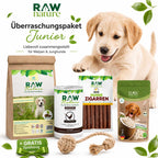 Kennenlernpaket Junior - Trockenfutter, Nassfutter und Hundeleckerli + GRATIS Spielzeug