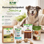 Kennenlernpaket Senior - Trockenfutter, Nassfutter und Hundeleckerli + GRATIS Spielzeug