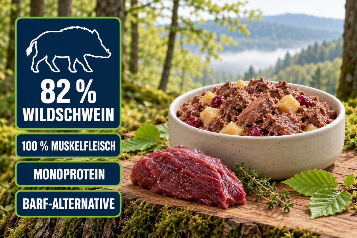 Nassfutter mit Wildschwein im Napf neben rohem Wildschweinfleisch – Monoprotein mit 82 % Wildschwein