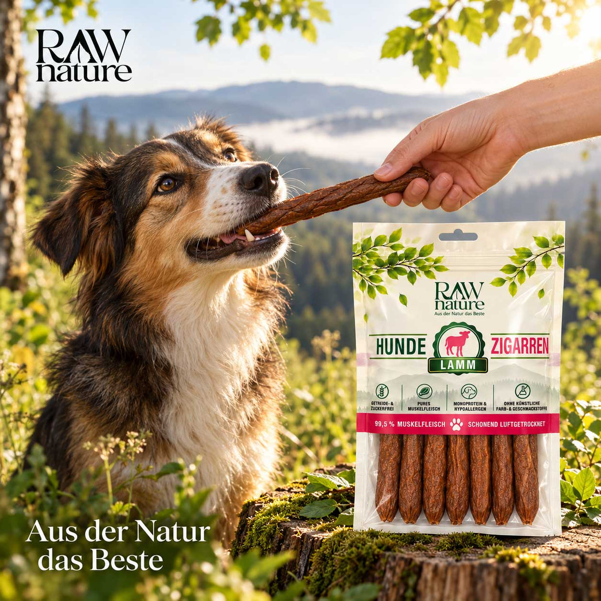 RAW Nature image